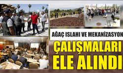 Ağaç ıslahı ve mekanizasyon çalışmaları ele alındı