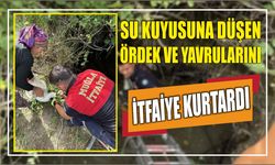 Su kuyusuna düşen ördek ve yavrularını itfaiye kurtardı