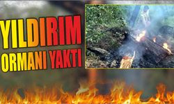 Yıldırım  ormanı yaktı