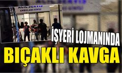İşyeri lojmanında bıçaklı kavga