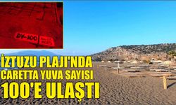 İztuzu Plajı'nda caretta yuva sayısı 100'e ulaştı
