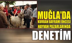 Muğla'da Kurban Bayramı öncesi hayvan pazarlarında denetim