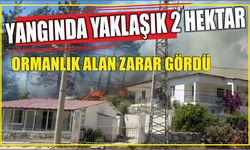 Yangında yaklaşık 2 hektar ormanlık alan zarar gördü
