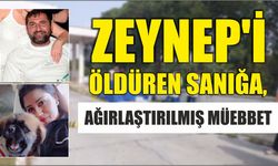 Zeynep'i öldüren sanığa, ağırlaştırılmış müebbet