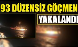 93 düzensiz göçmen yakalandı