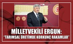 Milletvekili Ergun: “Tarımsal Üretimde Korkunç Rakamlar”