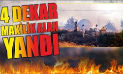 4 Dekar  makilik alan  yandı