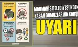 MARMARİS BELEDİYESİ’NDEN YABAN DOMUZLARINA KARŞI UYARI
