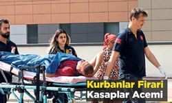 Kurbanlar Firari Kasaplar Acemi
