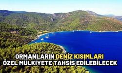 Ormanların deniz kısımları özel mülkiyete tahsis edilebilecek