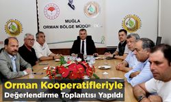 Orman Kooperatifleriyle Değerlendirme Toplantısı Yapıldı