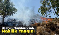 Bodrum Türkbükü’nde Makilik Yangını