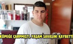 Köpeğe Çarpmıştı, Yaşam Savaşını Kaybetti