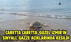 Caretta caretta 'Güzel İzmir'in sinyali, Gazze açıklarında kesildi