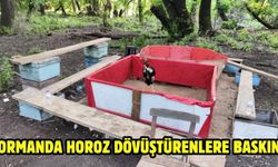 Ormanda horoz dövüştürenlere baskın