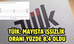TÜİK: Mayısta işsizlik oranı yüzde 8,4 oldu