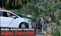 Radar Aracının Üzerine Ağaç Devrildi