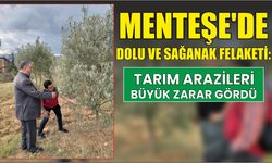 Menteşe’de Dolu ve Sağanak Felaketi: Tarım Arazileri Büyük Zarar Gördü
