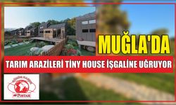 Muğla’da Tarım Arazileri Tiny House İşgaline Uğruyor