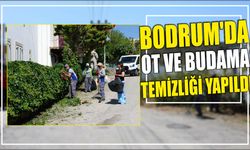 Bodrum'da ot ve budama temizliği yapıldı