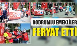 Bodrumlu emekliler feryat etti