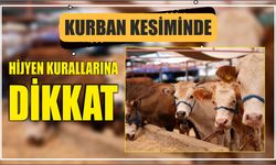 Kurban Kesiminde Hijyen Kurallarına Dikkat