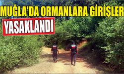 Muğla'da ormanlara girişler yasaklandı