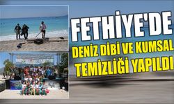 Fethiye'de deniz dibi ve kumsal temizliği yapıldı