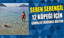 Seren Serengil 12 Köpeği İçin Gönüllü Yardımcı Arıyor