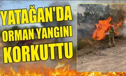 Yatağan'da Orman Yangını Korkuttu
