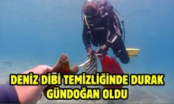 Deniz Dibi Temizliğinde Durak Gündoğan Oldu