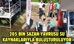 205 Bin Sazan Yavrusu Su Kaynaklarıyla Buluşturuluyor