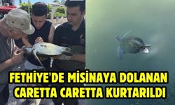 Fethiye'de misinaya dolanan caretta caretta kurtarıldı