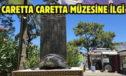Caretta caretta müzesine ilgi
