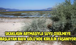 Sıcaklığın artmasıyla suyu çekilmeye başlayan Bafa Gölü'nde kirlilik yaşanıyor