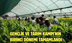 Gençlik ve Tarım Kampı'nın birinci dönemi tamamlandı