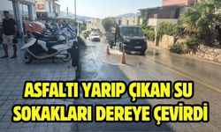 Asfaltı yarıp çıkan su sokakları dereye çevirdi
