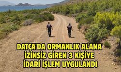 Datça'da ormanlık alana izinsiz giren 3 kişiye idari işlem uygulandı