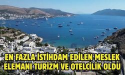 EN FAZLA İSTİHDAM EDİLEN MESLEK ELEMANI TURİZM VE OTELCİLİK OLDU