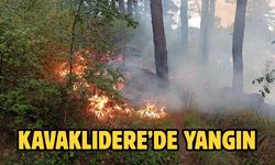Kavaklıdere’de Yangın