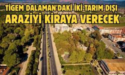 TİGEM Dalaman'daki iki tarım dışı araziyi kiraya verecek