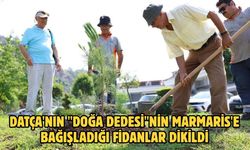 Datça'nın "Doğa Dedesi"nin Marmaris'e bağışladığı fidanlar dikildi