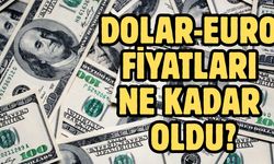 DOLAR-EURO FİYATLARI NE KADAR OLDU?