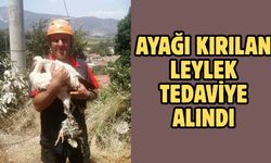 Ayağı kırılan leylek tedaviye alındı