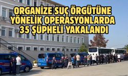 Organize suç örgütüne yönelik operasyonlarda 35 şüpheli yakalandı