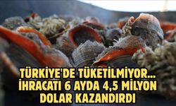 Türkiye'de tüketilmiyor... ihracatı 6 ayda 4,5 milyon dolar kazandırdı