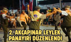 2. Akçapınar Leylek Panayırı düzenlendi