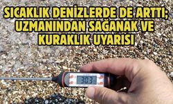 Sıcaklık denizlerde de arttı; uzmanından sağanak ve kuraklık uyarısı