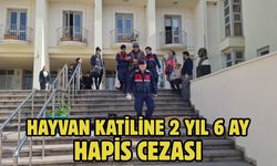 Hayvan katiline 2 yıl 6 ay hapis cezası