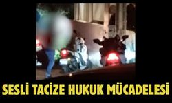 Sesli Tacize Hukuk Mücadelesi
